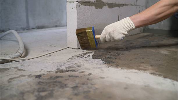 SJ Waterproofing Pros Crawl Space Encapsulation coverage map for Byron, MN and surrounding area